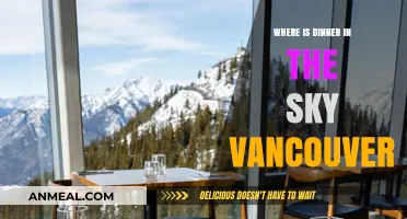 Dinner in the Sky Vancouver: Location, Experience, and Unforgettable Views