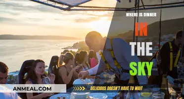 Dinner in the Sky: A Global Culinary Adventure Above the Clouds