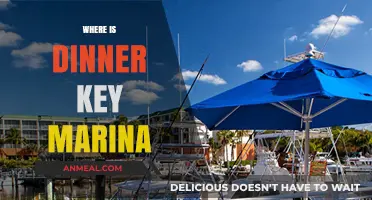 Discovering Dinner Key Marina: Location, History, and Hidden Gems