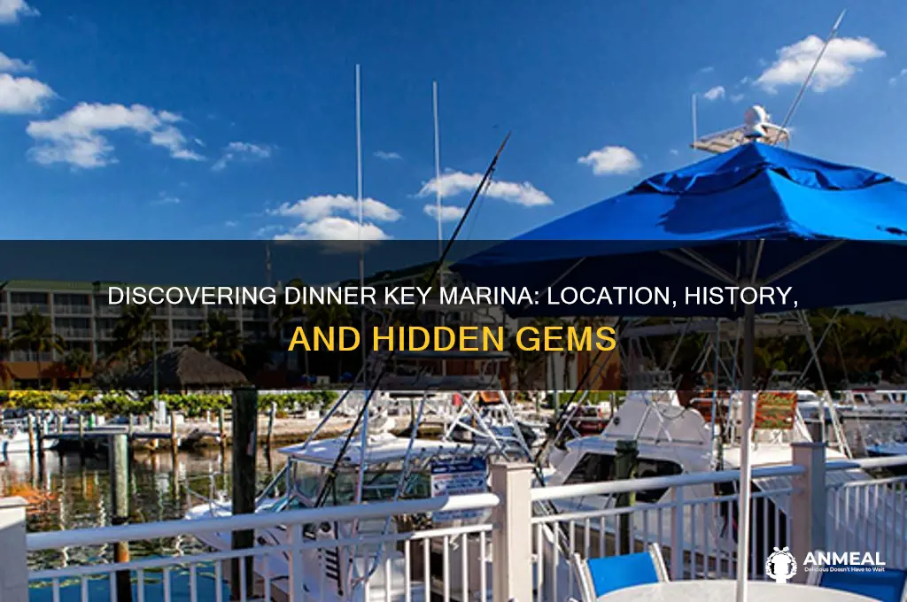 where is dinner key marina