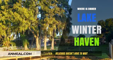 Discover Dinner Lake Winter Haven: Location, Activities, and Hidden Gems