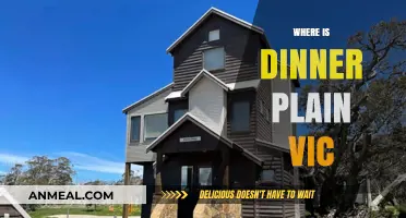 Discover Dinner Plain VIC: Location, Access, and Alpine Charm Unveiled