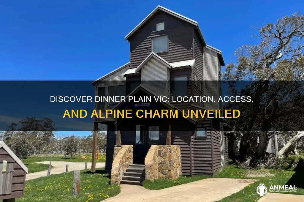 where is dinner plain vic