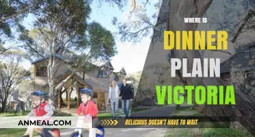 Discovering Dinner Plain: Victoria's Hidden Alpine Village Location Guide