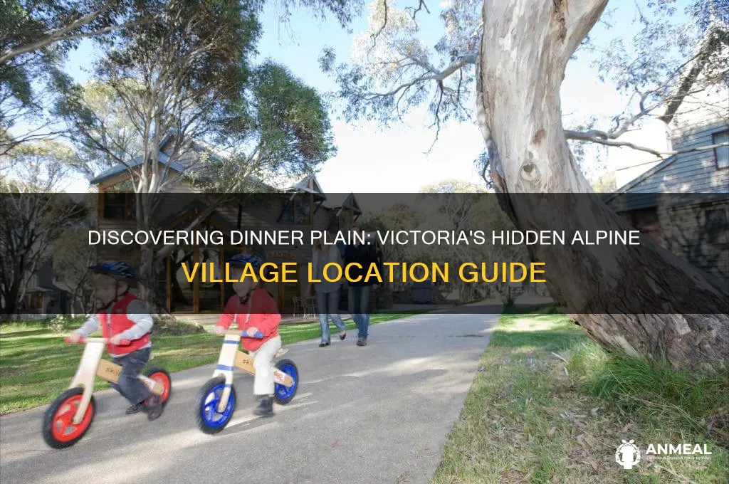 where is dinner plain victoria