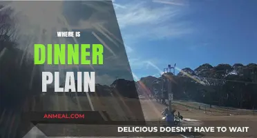 Discovering Dinner Plain: Location, Access, and Alpine Charm Explained