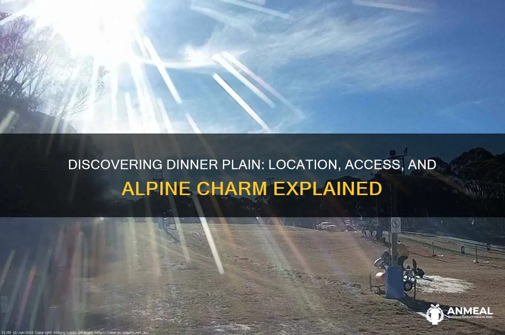 where is dinner plain