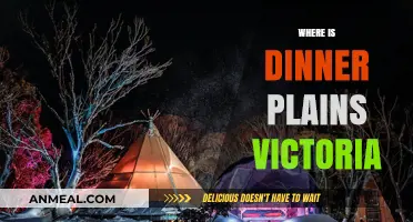 Discovering Dinner Plains: Victoria's Hidden Alpine Gem and Location Guide