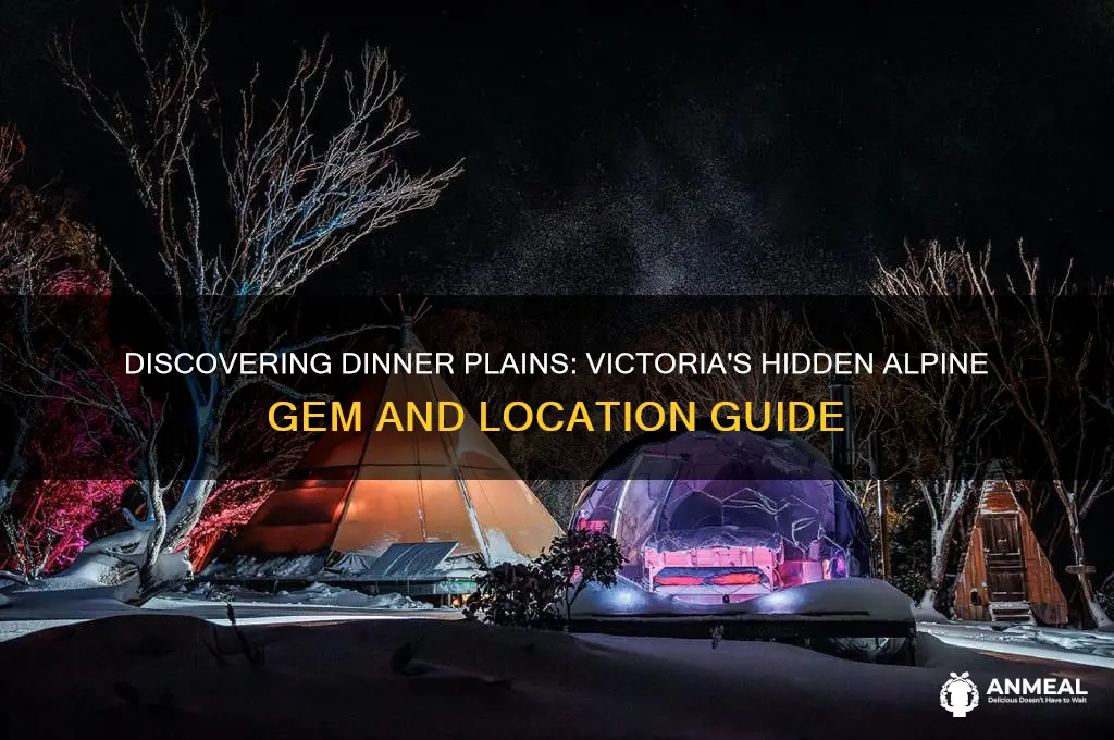 where is dinner plains victoria