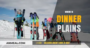 Discovering Dinner Plains: Location, Scenery, and Alpine Charm Unveiled