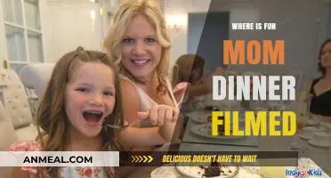 Where Was Fun Mom Dinner Filmed? Unveiling the Shooting Locations