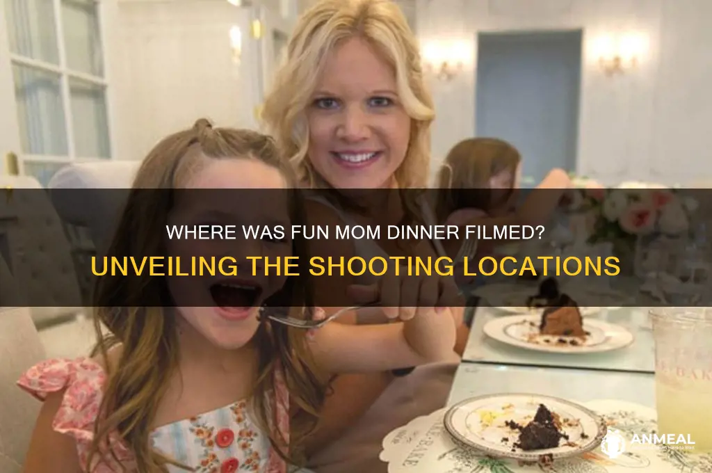 where is fun mom dinner filmed