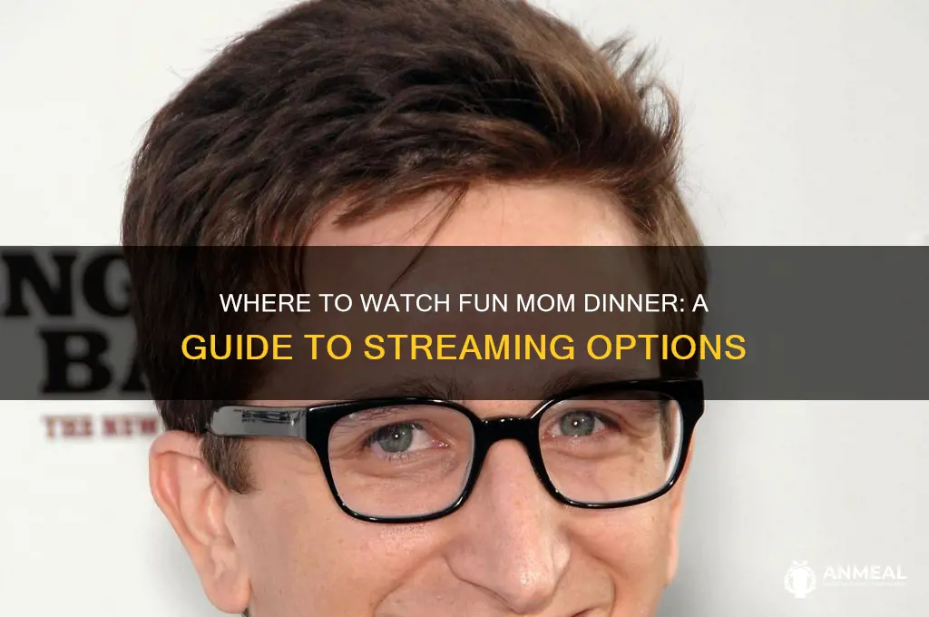 where is fun mom dinner playing