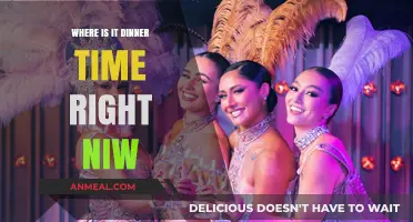 Exploring Global Time Zones: Where in the World is Dinner Time Now?