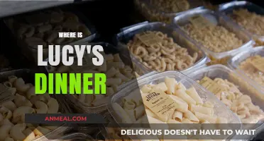 Where is Lucy's Dinner? Unraveling the Mystery of Her Missing Meal