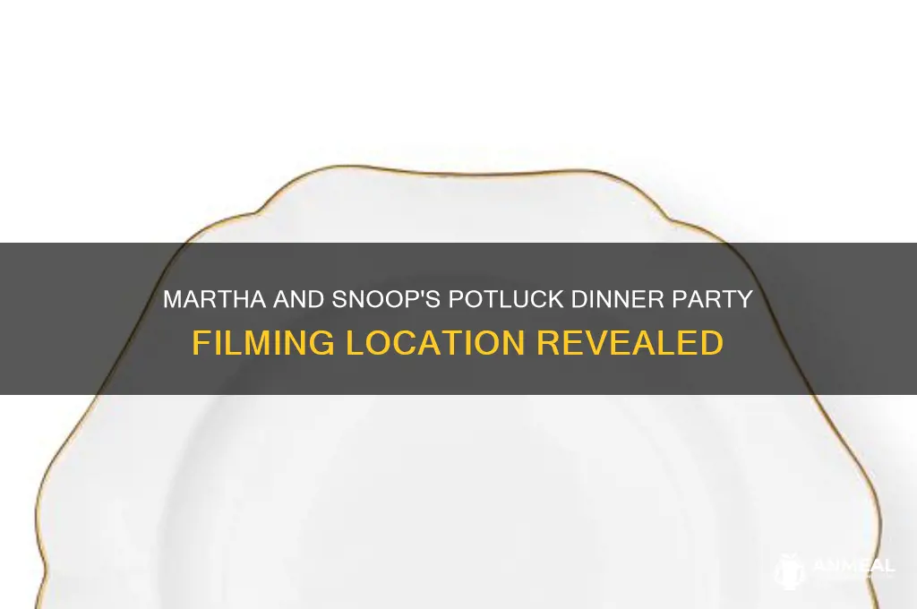 where is martha and snoop potluck dinner filmed