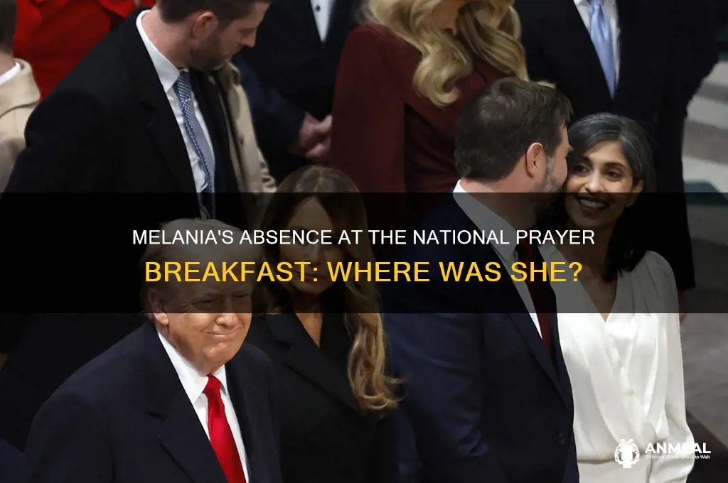 where is melania during the national prayer breakfast
