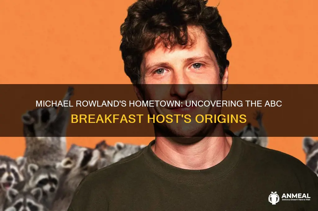 where is michael rowland from abc breakfast