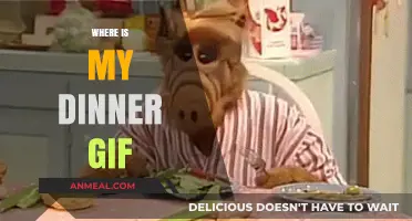 Where is My Dinner GIF: Hilarious Reactions to Missing Meals