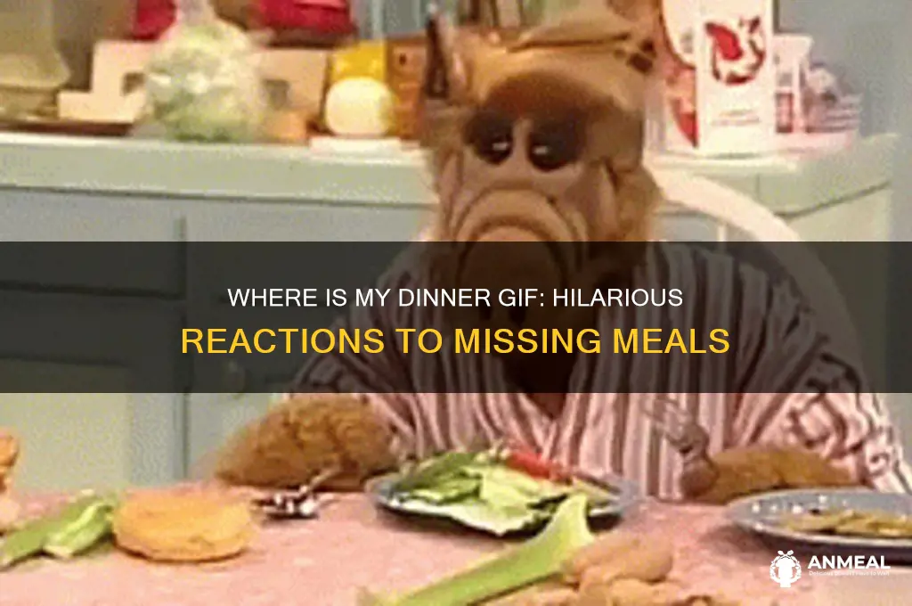 where is my dinner gif