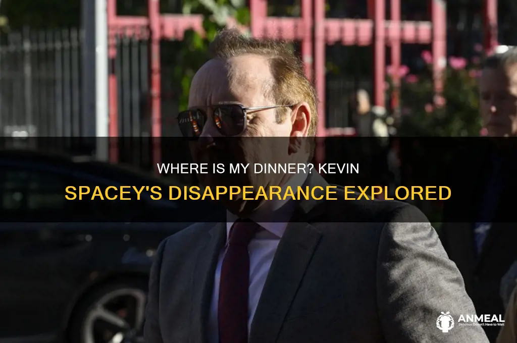 where is my dinner kevin spacey