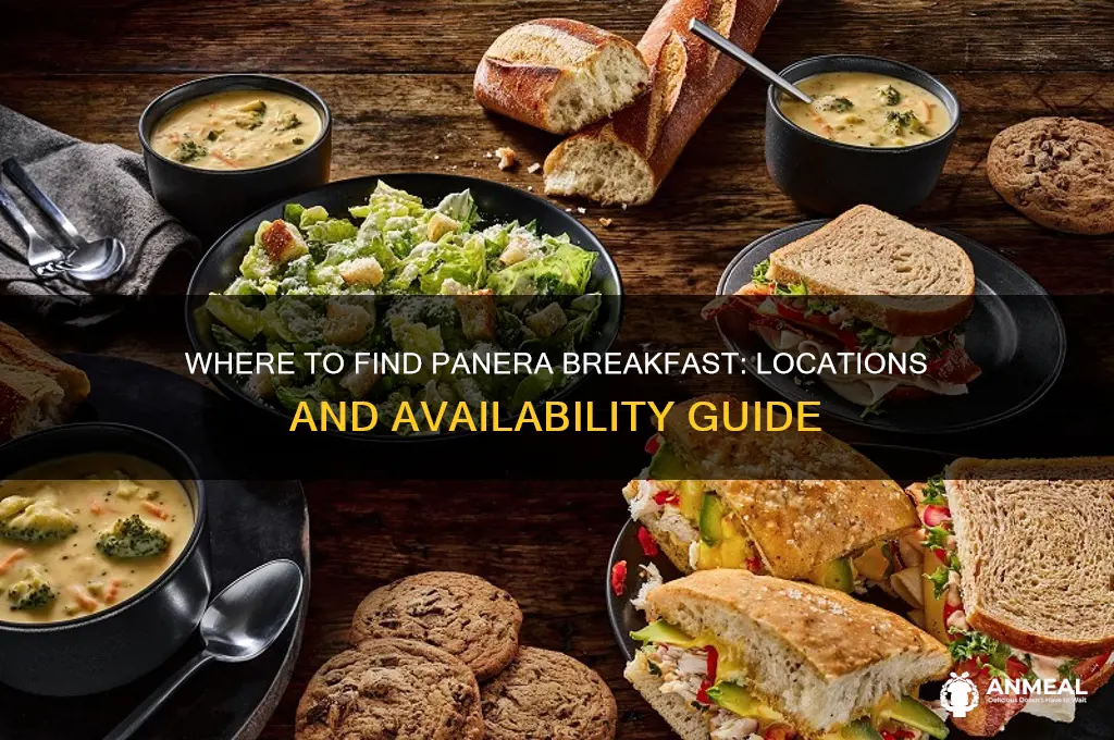 where is panera breakfast available
