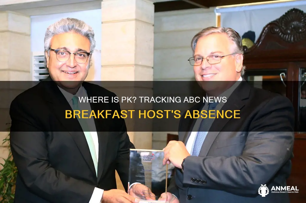 where is pk from abc news breakfast