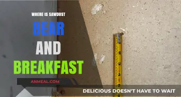 Discovering Sawdust Bear and Breakfast: A Hidden Gem's Location