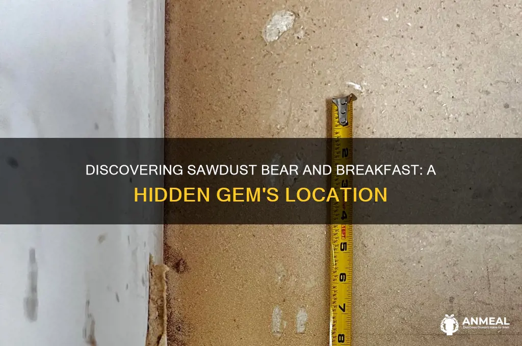 where is sawdust bear and breakfast