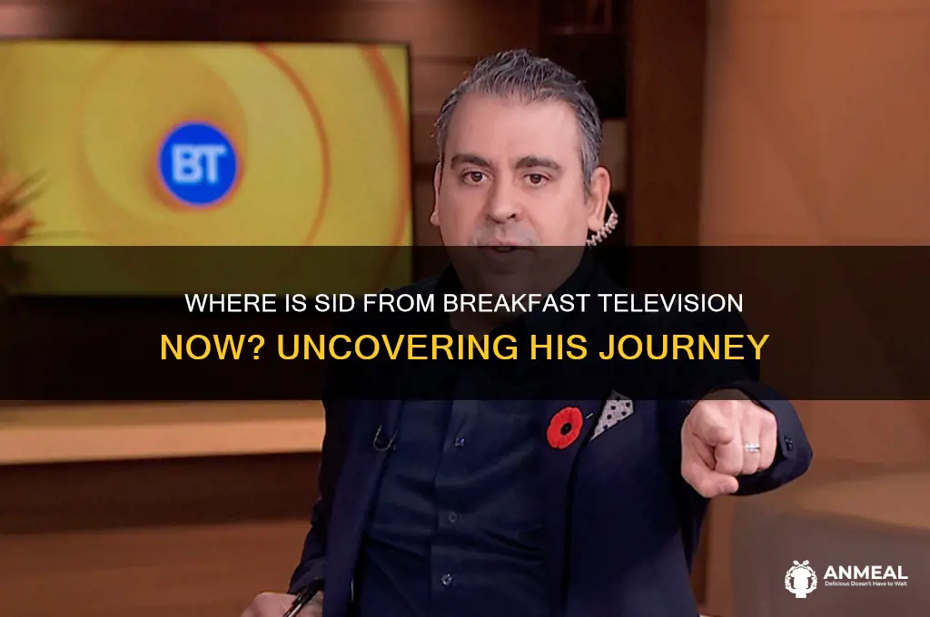 where is sid from breakfast television