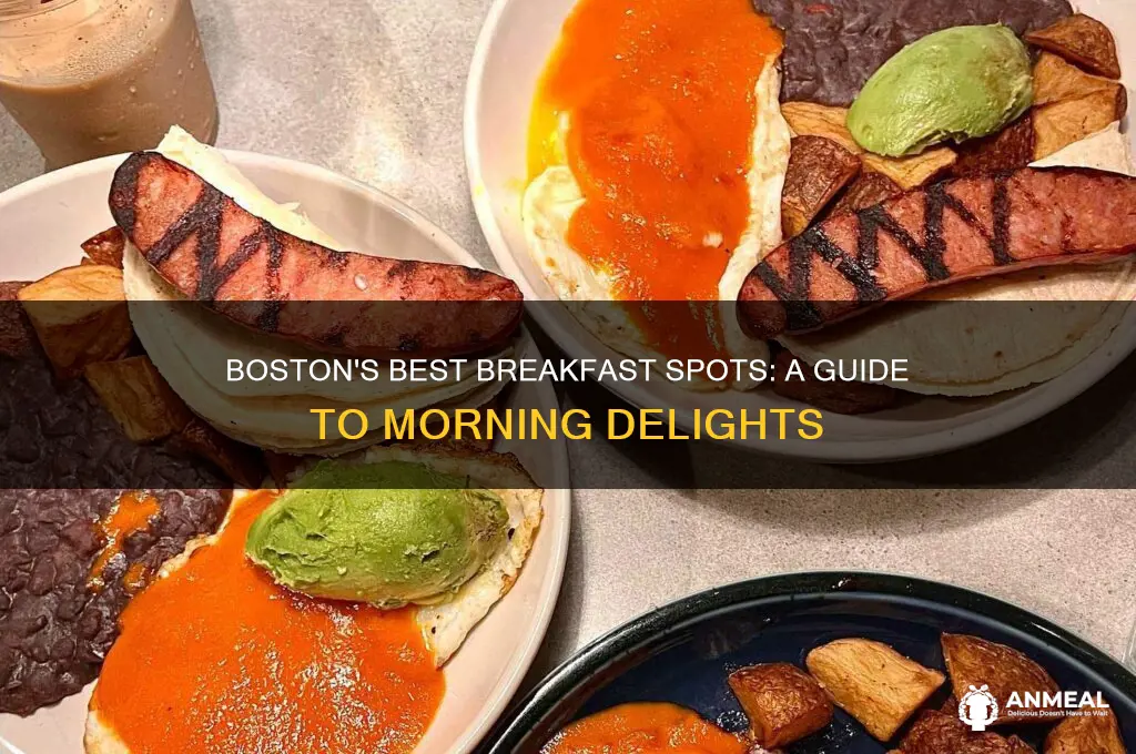 where is the best breakfast in boston