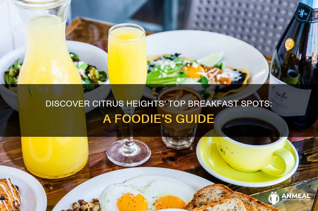 where is the best breakfast in citrus heights