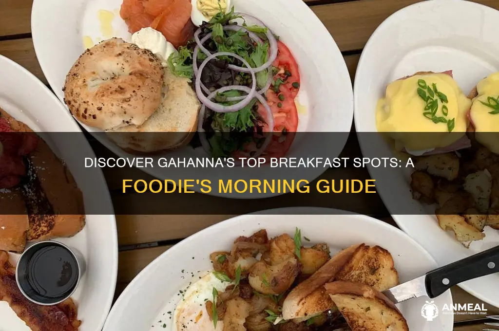 where is the best breakfast in gahanna ohio
