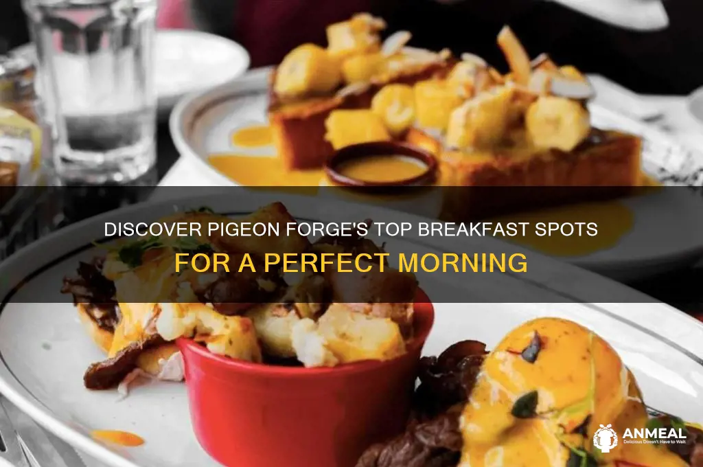 where is the best breakfast in pidge forge