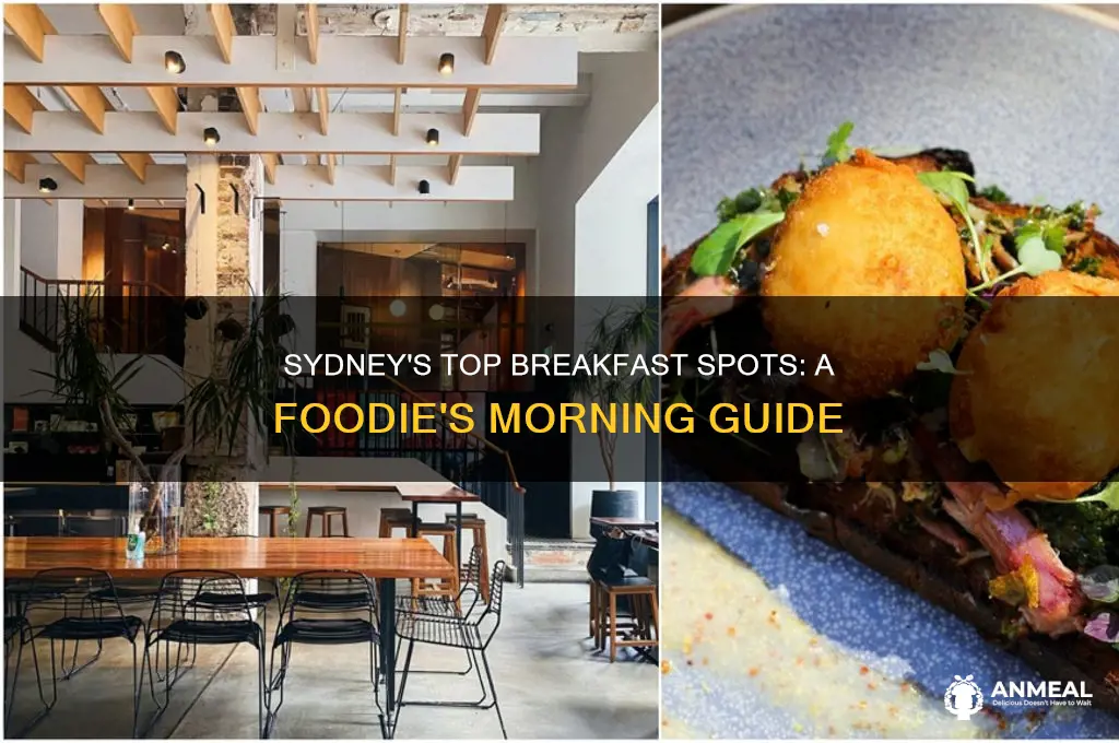 where is the best breakfast in sydney