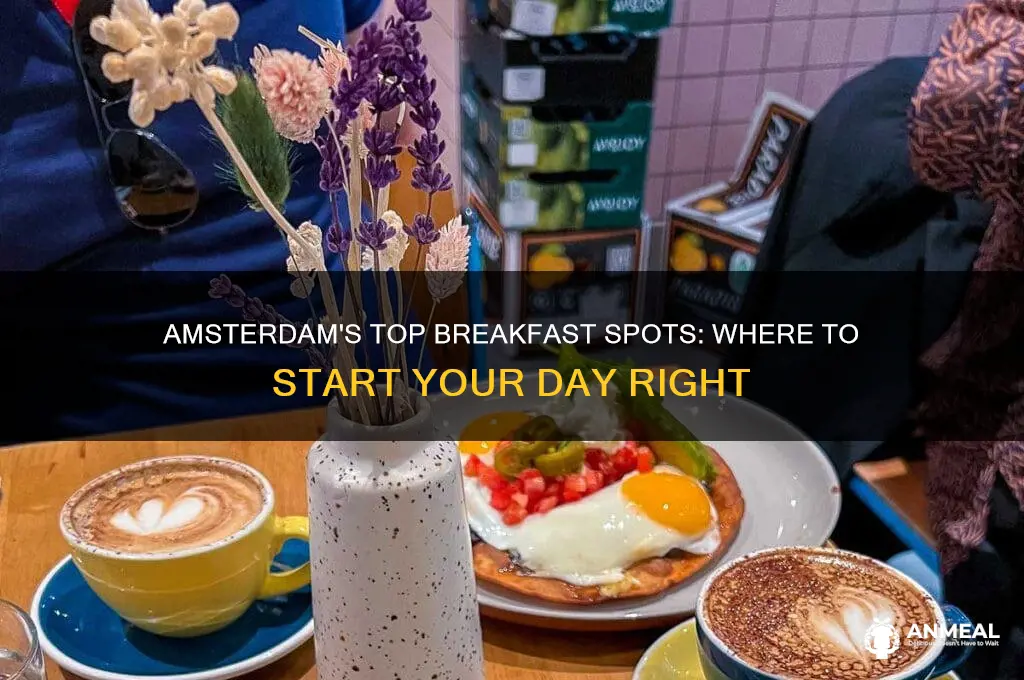where is the best place for breakfast in amsterdam