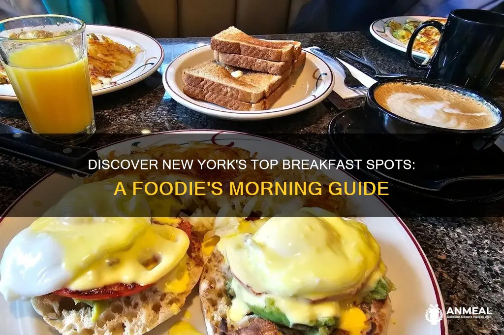 where is the best place for breakfast in new york