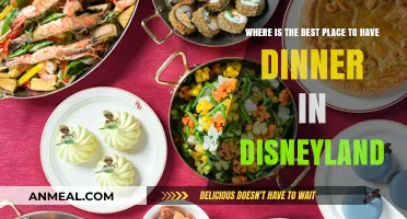 Top Dining Spots in Disneyland: Where to Enjoy the Perfect Dinner