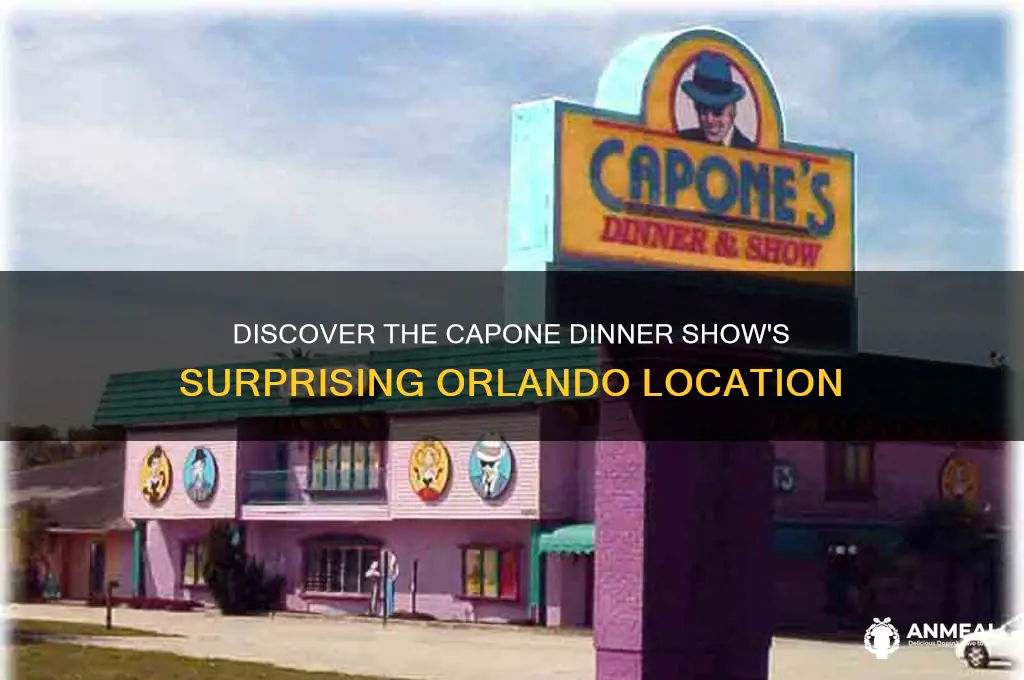 where is the capone dinner dhow located