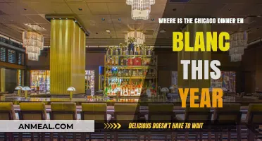 Chicago's Dinner en Blanc 2023: Secret Location Revealed Soon