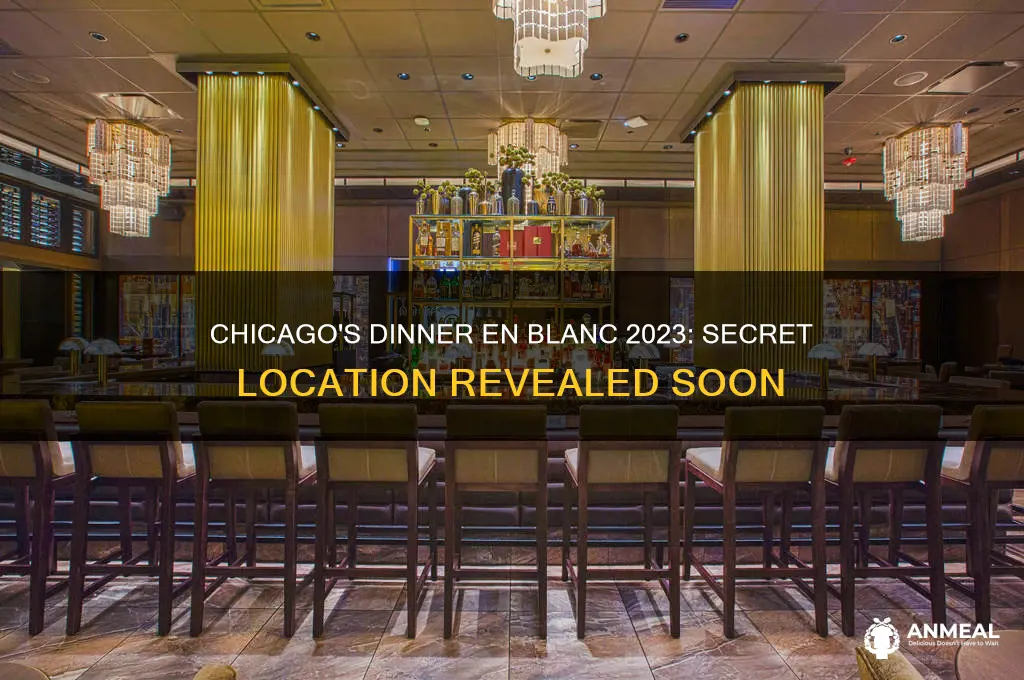 where is the chicago dinner en blanc this year