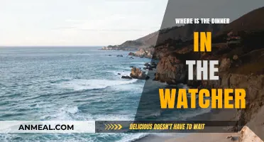 Unraveling the Mystery: Where is the Dinner in The Watcher?