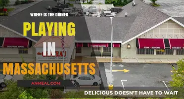 Discover Where 'The Dinner' is Playing in Massachusetts Now