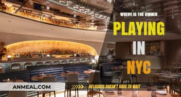 Discover Where 'The Dinner' is Playing in NYC Theaters