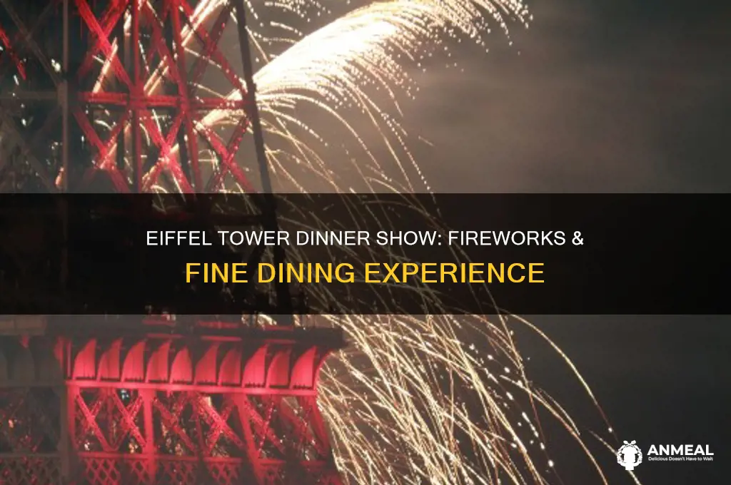 where is the dinner show near eiffel tower with fireworks