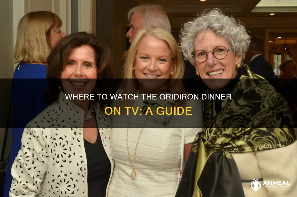 where is the gridiron dinner televised