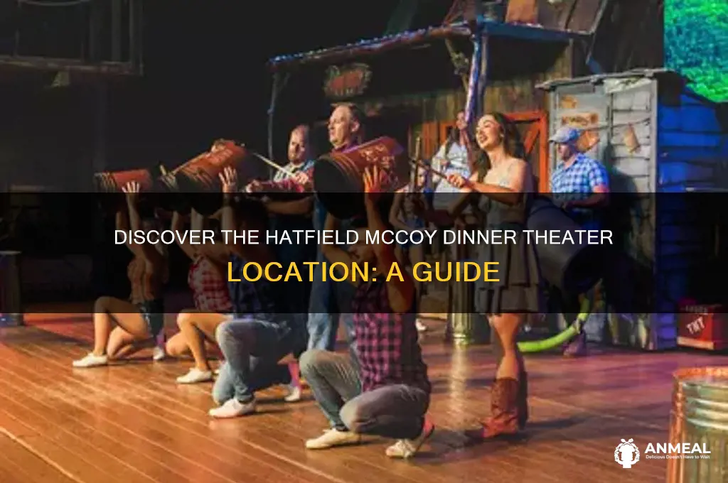 where is the hatfield mccoy dinner theater