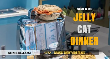 Where is the Jelly Cat Dinner? A Whimsical Quest Explored