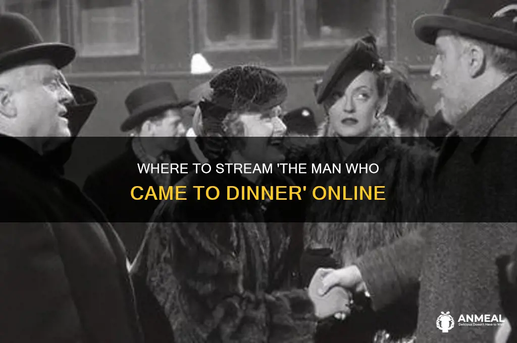 where is the man who came to dinner streaming