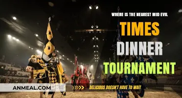 Find Your Nearest Medieval Times Dinner Tournament Adventure Today
